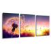 Impresi Obraz Pampeliška se západem slunce - 150 x 70 cm (3 dílný)