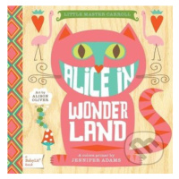 Little Master Carroll: Alice in Wonderland - Jennifer Adams, Alison Oliver - kniha z kategorie P