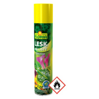 AGRO CS FLORIA Lesk na listy spray 400 ml