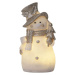 Světelná dekorace s vánočním motivem v bílo-stříbrné barvě Buddy – Star Trading