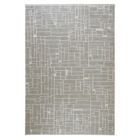 Šedo-béžový koberec 160x220 cm Jaipur – Webtappeti