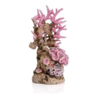 biOrb Reef ornament růžová