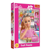 Trefl Barbie: Seznamte se s Barbie 100 dílků