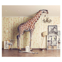 Fotografie giraffe  in the living room, vicnt, (40 x 35 cm)