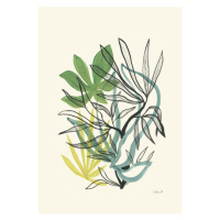 Ilustrace Foliage N.4, Catalina Somolinos, 26.7 × 40 cm