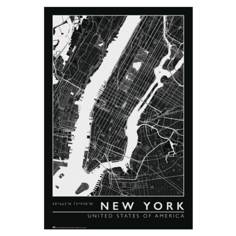 Plakát, Obraz - New York - City Map, (61 x 91.5 cm)