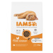 IAMS Cat Kitten Chicken 10kg