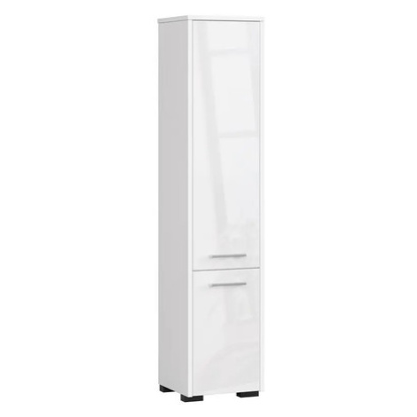 Koupelnová skříňka FIN 2D - bílá/bílá lesk Akord