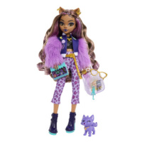 Monster High příšerka monsterka - Clawdeen