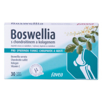 Favea Boswellia s chondroitinem a kolagenem 30 tablet