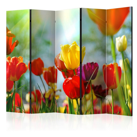 Paraván Spring Tulips II Dekorhome Artgeist