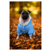 Vsepropejska Big dog zimní bunda pro psa Barva: Modrá, Délka zad (cm): 38, Obvod hrudníku: 52 - 