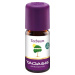 Taoasis Tea tree, Bio 5 ml