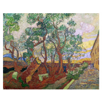 Obrazová reprodukce The Garden of St. Paul's Hospital at St. Remy, Vincent van Gogh, 40 × 30 cm