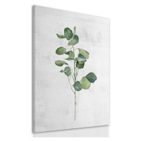 Obraz na plátně EUCALYPTUS B různé rozměry Ludesign ludesign obrazy: 70x50 cm