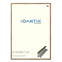 DANTIK rámeček 21 × 29,7, ALU profil 7273 Dýha wenge sklo čiré