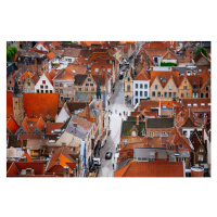 Fotografie Bruges from above with Red Roofs., Andrey Danilovich, 40 × 26.7 cm