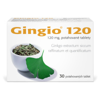 Gingio 120 mg 30 tablet