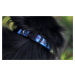 Vsepropejska Blue modrý obojek pro psa Barva: Modrá, Obvod krku: 33 - 55 cm