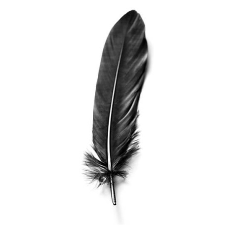 Plakát, Obraz - A black father against a white background, KMNPhoto, 30 × 40 cm