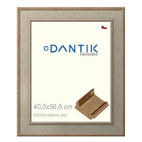 DANTIK rámeček 40 × 50, TOOTH stříbrný plexi čiré