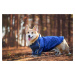Vsepropejska Enola zimní bunda pro psa Barva: Modrá, Délka zad (cm): 30, Obvod hrudníku: 36 - 40