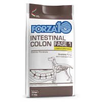 Forza 10 Intestinal Colon Phase 1 s jehněčím - výhodné balení: 2 x 10 kg