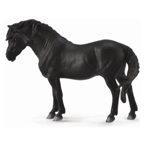 Collecta dartmoorský pony černý
