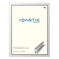 DANTIK rámeček 15 × 20, ALU profil 7269 Stříbrný lesklý sklo čiré