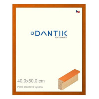 DANTIK rámeček 40 × 50, PERLA oranžový vysoký sklo čiré