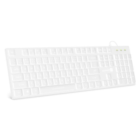 CONNECT IT kancelářská klávesnice s bílým podsv. (CZ + SK) WHITE