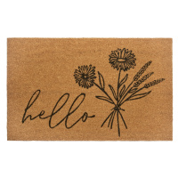 Hanse Home Collection koberce Rohožka Hello 105569 - na ven i na doma - 45x75 cm