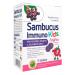 Sambucus Immuno kids lízátka 5 ks