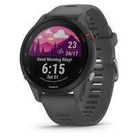 Garmin Forerunner 255 Slate Gray 010-02641-10