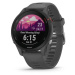 Garmin Forerunner 255 Slate Gray 010-02641-10