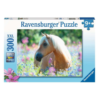 Ravensburger 13294 kůň 300 dílků