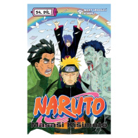 Naruto 54 - Most vedoucí k míru - Masaši Kišimoto