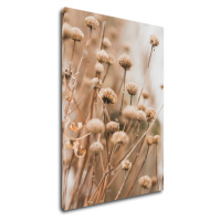 Impresi Obraz Skandinávský styl suchá tráva - 50 x 70 cm