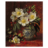 Obrazová reprodukce AB249 Still Life of Christmas Roses and Holly, Williams, Albert, 33 × 40 cm