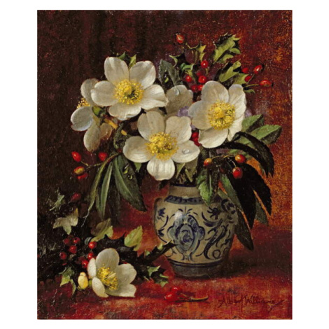 Obrazová reprodukce AB249 Still Life of Christmas Roses and Holly, Williams, Albert, 33 × 40 cm