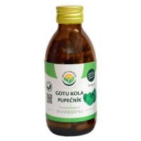 SALVIA PARADISE Gotu kola - pupečník 120 kapslí