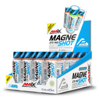 Amix Performance MagneShot Forte 375 mg 20 x 60 ml blood orange