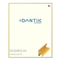 DANTIK rámeček 40 × 50, ALU profil 6030 Dýha barevný žlutý plexi čiré