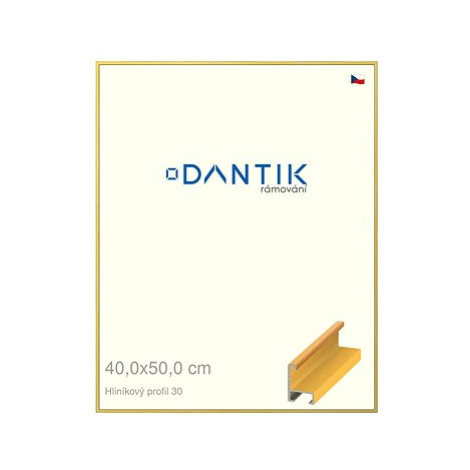 DANTIK rámeček 40 × 50, ALU profil 6030 Dýha barevný žlutý plexi čiré