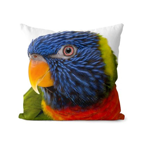 Impar polštář Barevný papoušek