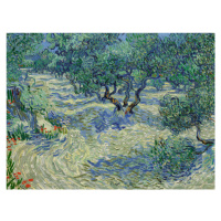 Obrazová reprodukce Olive Orchard, Vincent van Gogh, 40 × 30 cm