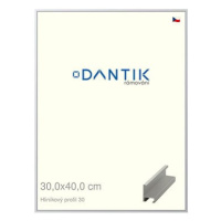 DANTIK rámeček 30 × 40, ALU profil 6030 Stříbrný matný plexi čiré