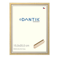 DANTIK rámeček 15 × 20, NINA bílý AU linka sklo čiré