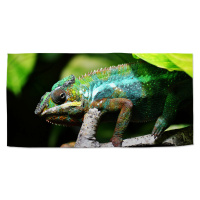 Sablio Ručník Chameleon - 50x100 cm