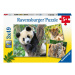 RAVENSBURGER - Panda, tygr a lev 3x49 dílků